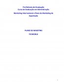 O Marketing Internacional e Plano de Marketing de Exportação