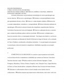 Desafio Profissional de História da América Colonial, Direitos Humanos e História Antiga. [