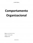 Comportamento Organizacional