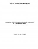 CONDIÇÕES PSICOSSOCIAIS E ORGANIZAÇÃO DE TRABALHO EM PLATAFORMA DE PETRÓLEO