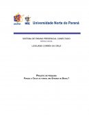 Projeto de pesquisa Porque o Crack se tornou uma Epidemia no Brasil?