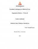 Gestão Ambiental Relatório Sobre Poluição Atmosférica