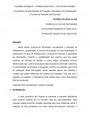 A Importância da Administração da Produção e Operações e do Planejamento e Controle da Produção nas Empresas