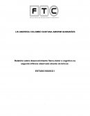 Relatório sobre desenvolvimento físico-motor e cognitivo na segunda infância observado através do brincar