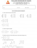 Algebra linear de sitema