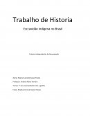 Escravidão indígena no Brasil