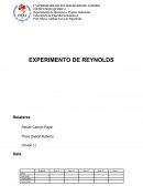Relatório Reynolds