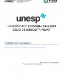 A Cogeração de energia resíduos sólidos urbanos