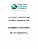 FENOMENOS DE TRANSPORTE RELATÓRIO EXPERIMENTAL