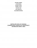 CONSIDERAÇÕES A RESPEITO DA CONSTRUÇÃO E INFORMAÇÕES SOBRE A OBRA: EDIFÍCIO ARK HOTEL DE CHANGSHA