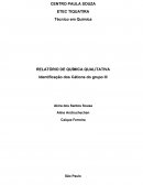 RELATÓRIO DE QUÍMICA QUALITATIVA Identificação dos Cátions do grupo III