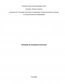 A Evolução dos Direitos Fundamentais: Direitos Econômicos e Sociais e os Novos Direitos da Solidariedade