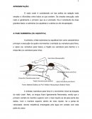 ANÁLISE SOBRE ANATOMIA LOCOMOTORA DA BRAÇADA NO NADO CRAWL