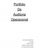 Portfolio de auditoriA