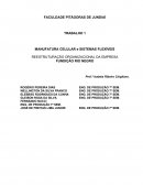 MANUFATURA CELULAR e SISTEMAS FLEXÍVEIS REESTRUTURAÇÃO ORGANIZACIONAL DA EMPRESA FUNDIÇÃO RIO NEGRO