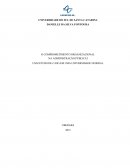 O COMPROMETIMENTO ORGANIZACIONAL NA ADMINISTRAÇÃO PÚBLICA: UM ESTUDO DE CASO EM UMA UNIVERSIDADE FEDERAL
