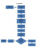 O FLUXOGRAMA DO PROCESSO PRODUTIVO