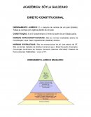 DIREITO CONSTITUCIONAL