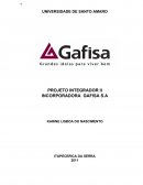 O PROJETO INTEGRADOR II INCORPORADORA GAFISA S.A