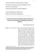 O INCENTIVO À AGRICULTURA FAMILIAR COMO UMA PERSPECTIVA VINCULADA AOS INSTRUMENTOS ECONÔMICOS DE PROTEÇÃO AMBIENTAL