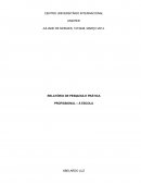 RELATÓRIO DE PESQUISA E PRÁTICA PROFISSIONAL – Á ESCOLA