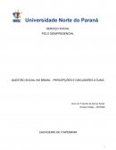 QUESTÃO SOCIAL NO BRASIL - PERCEPÇÕES E DISCUSSÕES ATUAIS.