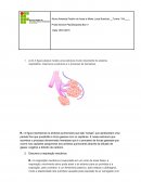 ESTUDO DIRIGIDO