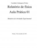 Relatório de Fisica I