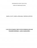 A CULTURA DE MASSA COMO FATOR DE REMODELAÇÃO DAS TRADIÇÕES INDÍGENAS - ALDEIA GUARANI MBYA