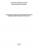 A LEGALIDADE DA REDUÇÃO DA MAIORIDADE PENAL SOB O PANORAMA CONSTITUCIONAL E SOCIO-POLITICO