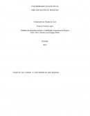 Trabalho da Disciplina Seleção e Viabilidade Financeira de Projetos