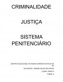 Atv estruturada elaboração de síntese sobre vídeo justiça no sistema penitenciário