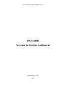 As Normas Internacionais ISSO 14000 de Gestão Ambiental