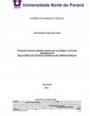 RELATÓRIO DE ESTÁGIO CURRICULAR OBRIGATÓRIO III