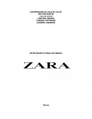 ZARA - adm mercadologica