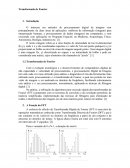 A Transformada de Fourier