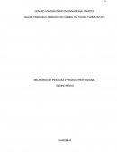 RELATÓRIO DE PESQUISA E PRÁTICA PROFISSIONAL ENSINO MÉDIO