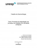 Processos de degradação nas encostas e a relação com as atividades antropicas