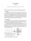 Cable Modem