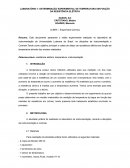 DETERMINAÇÃO EXPERIMENTAL DE TEMPERATURA EM FUNÇÃO DA RESISTÊNCIA ELÉTRICA