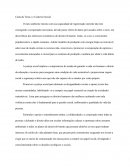 Carta da terra