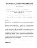 FINANCEIRO: IMPORTÂNCIA DO ACOMPANHAMENTO DE RESULTADOS E PLANEJAMENTO DE INVESTIMENTOS ATRAVÉS DO DEMOSNTRATIVO DE FLUXO DE CAIXA