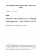 Responsabilidade Penal de pessoa jurídica de Direito Público Interno