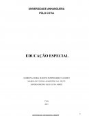 A EDUCAÇÃO ESPECIAL