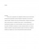 A Forma como as organizações vêm se adaptando ao ambiente externo