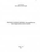 PROTEÇÃO À INFÂNCIA INDÍGENA: Uma experiência na terra indígena tembé do alto rio Guamá.