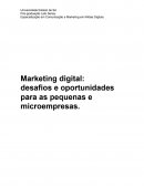 Marketing digital: desafios e oportunidades para as pequenas e microempresas.