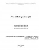 Potencial Hidrogenionico