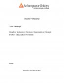 A Estrutura e Organização da Educação e Diversidade