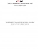SISTEMAS DE INFORMAÇÃO NAS EMPRESAS: DIMENSÃO EMGENHARIA E VALE DO RIO DOCE